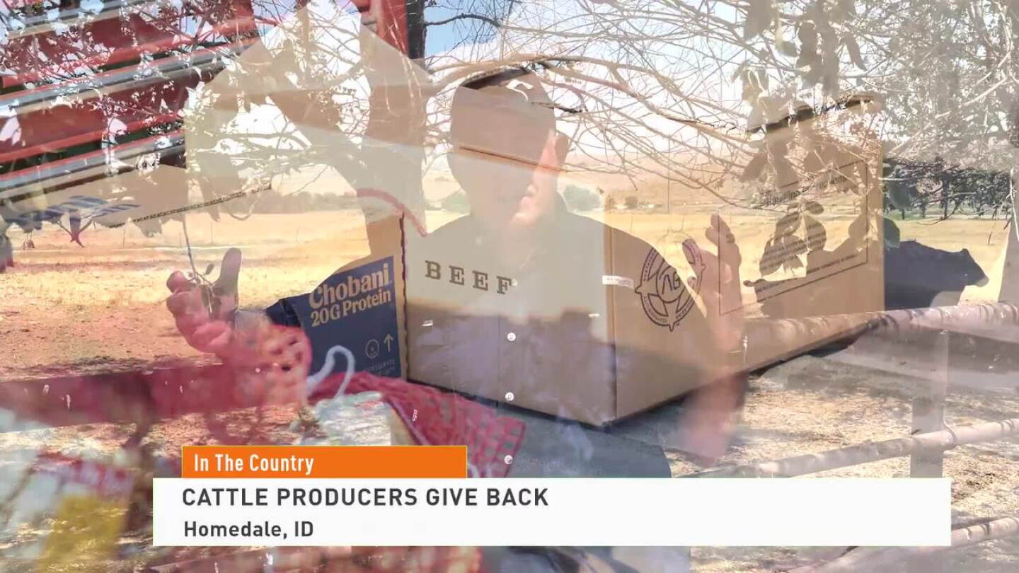 Beef Count Beef Counts: Making a Difference - Drovers