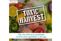 pesticide report