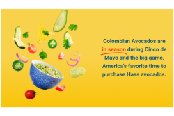 Colombia Avocado  Board.png