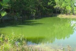 green_pond_web