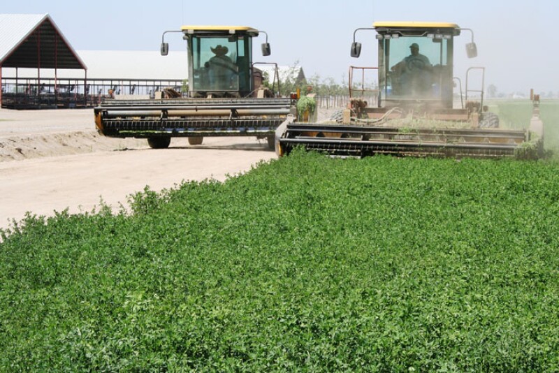 Farming is one of the world’s most dangerous occupations, and dairy farms have unique equipment, feed, and animal hazards that can put human operators at risk. Cargill, Inc. is partnering with the National Dairy FARM Program to encourage, on-farm safety audits and written safety plans.