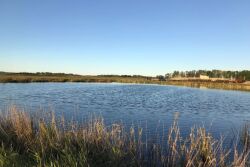 Containment pond