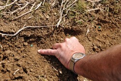 Check behind the planter to double-check seed monitor accuracy.