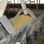 With research confirming that swine viruses can be transmitted through feed and feedstuffs, new studies are looking at how to prevent the spread of foreign animal diseases