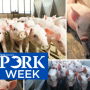 PORK Week