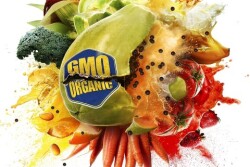 food-evolution-poster-homepage.jpg