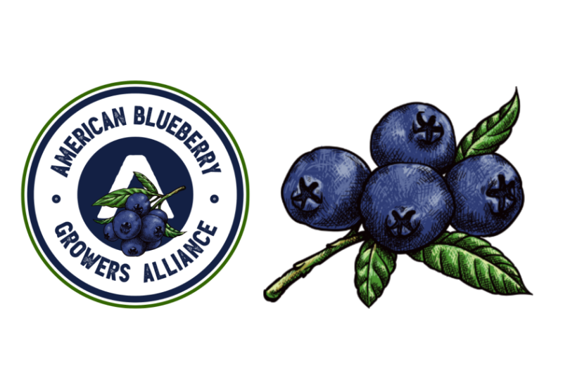 American Blueberry Growers.png