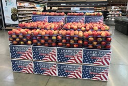 american dream cmi