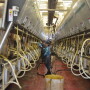 DT_Dairy_Parlor_Milkers