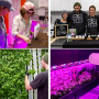 Square Roots is looking for 10 farmers-in-training.