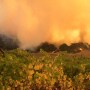 Wildfires sweep across California vineyards.
