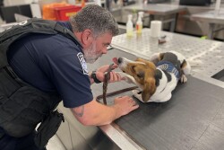 Sol and CBP handler