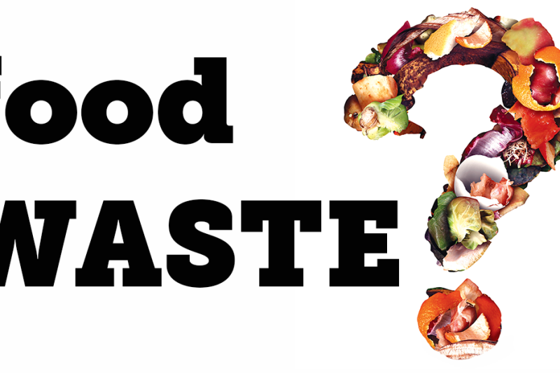 food-wastethumbnail.png