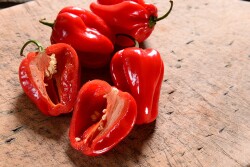 habanero peppers