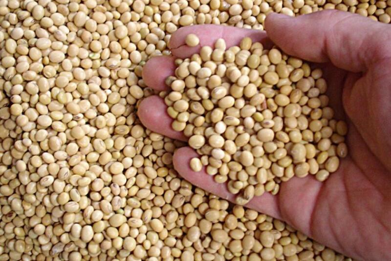 Bill Biedermann of AgMarket.net says the last time soybean stocks to use was below 4%, prices traded at $16 and $18. 