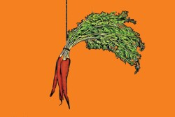 illustration of a bunch of carrots dangling from a string or rope