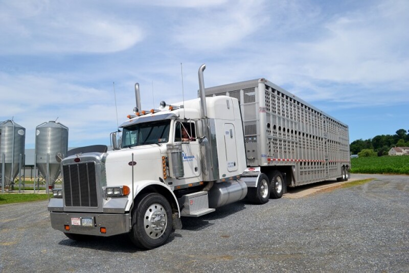 Livestock truck