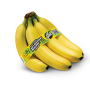 all good bananas