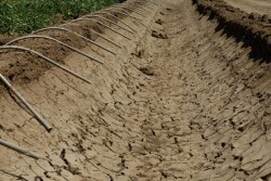 USDA Meteorologist Brad Rippey says the 27-week streak in drought conditions means the all-time record of 42 weeks during 2012/2013 still stands. However, the drought picture isn’t pretty in the West, with another streak still on the record books.