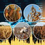 If weather conditions allow crop yields to return to trend-line levels in 2023, prices for corn, soybeans, wheat, cotton and many other crops are likely to fall. 