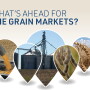 Grain Market Outlook