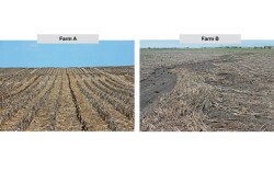Residue remains in place on Farm A, while rainfall has obviously washed away soil and residue on Farm B, reflecting the  differences in soil health of the two fields. After three years of improving soil health, those differences are far less evident.