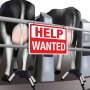 Cow_Help-Wanted