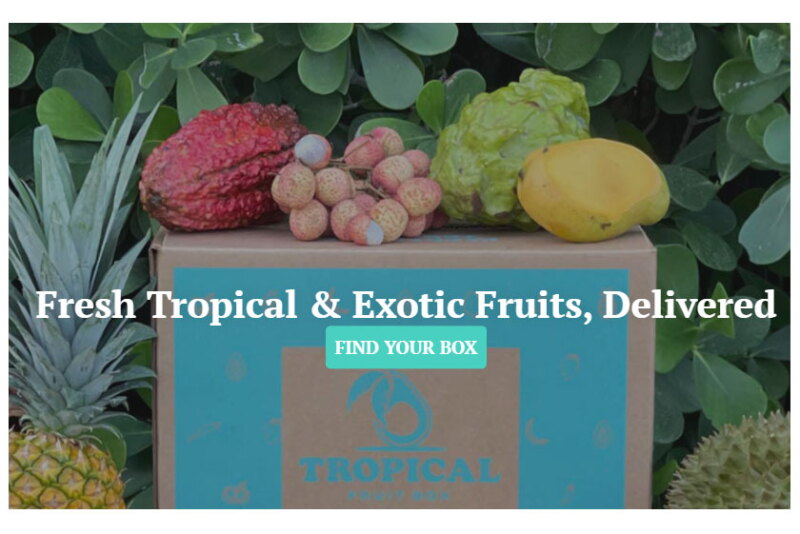 Fruit-Box.jpg
