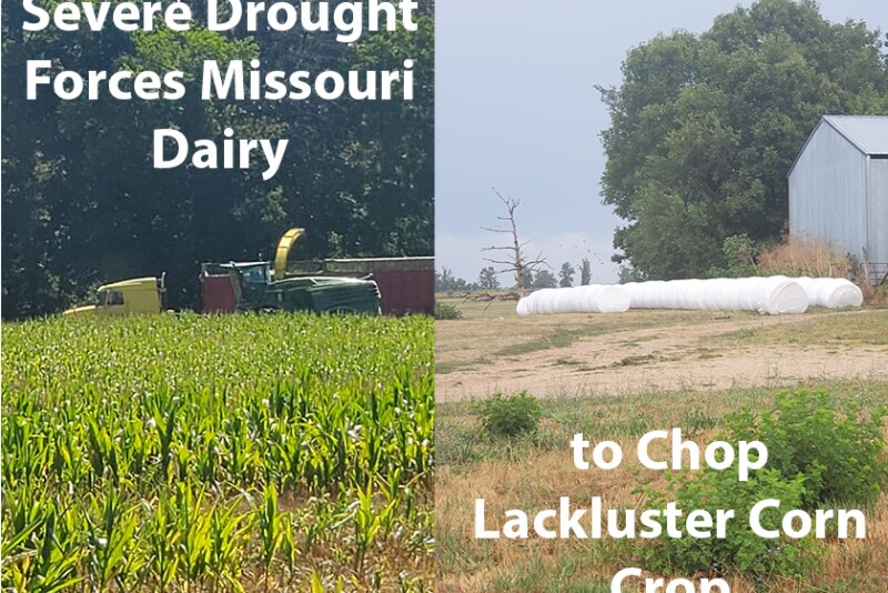 Missouri dairy farm
