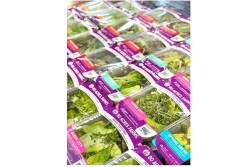 Kroger partners with 80 Acre Farms