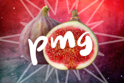 PMGtop20_7814_header.png