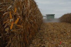 After an already challenging year, Ken Ferrie says it's a fight to the finish, but reminds producers it's not undoable, and he has some advice to get farmers already thinking about a challenging harvest. 