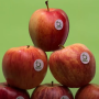 FE57F43A-0AE2-4956-A8E101144A0AA969.png