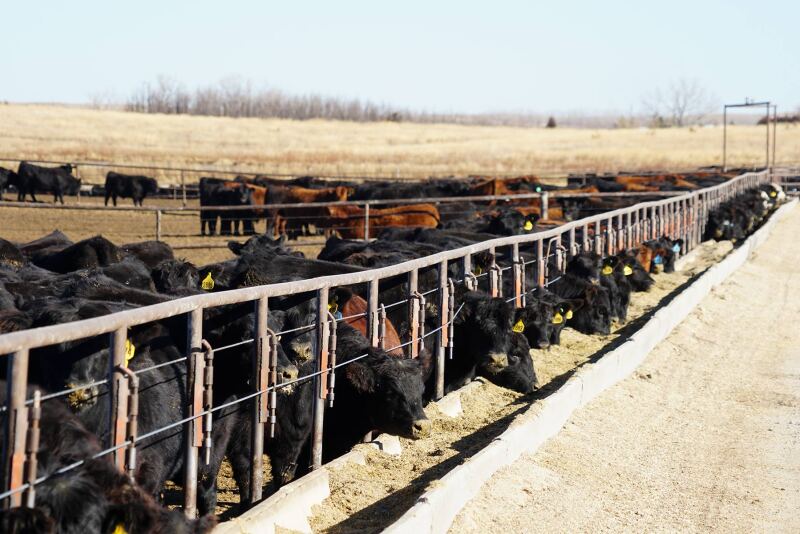Zeman Ranch