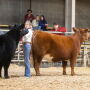 Young exhibitors at a livestock show