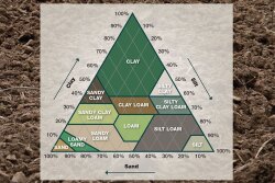 The percentage of sand, silt and clay particles determines the texture of your soil. Within most soil types, you can improve soil health by taking steps to improve aggregate stability and penetration resistance.