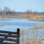 Nebraska producers may receive help from USDA.