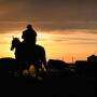Feedyard at dawn