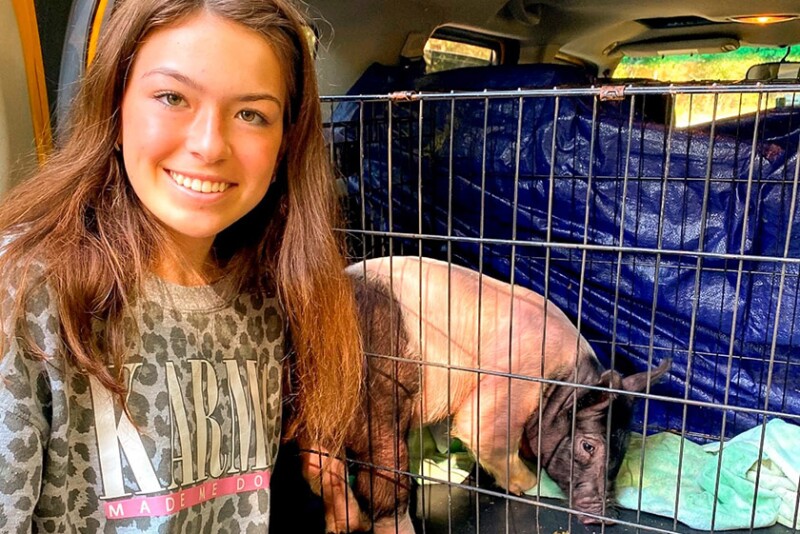 Miriam and pig