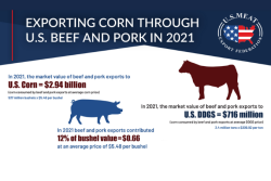 USMEF - Corn through Red Meat Exports