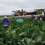 A new survey reports many California growers are having trouble finding enough workers.