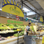  A new Rabobank study said growers should use caution in how fast they expand organic production of fruits and vegetables.