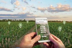 Here are four reasons why more ag input business will be done online long after we recover from COVID-19.