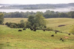 Maplecrest Farms, Hillsboro, Ohio