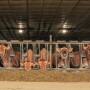 The livestock production businesses of the future will need to balance much more than the bottom line.