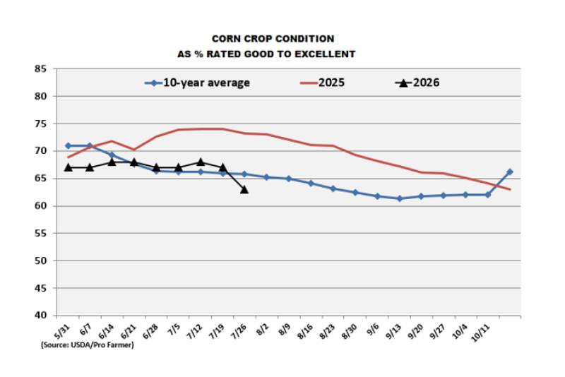 Pro Farmer CCI shows largest weekly drop in corn conditions of the ...