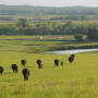 Kansas Flint Hills
