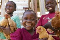 Heifer International