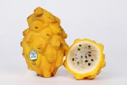 Pitahaya fruit. Photo courtesy dVida Company