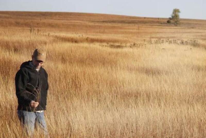 OldWorldBluestem_mp0005